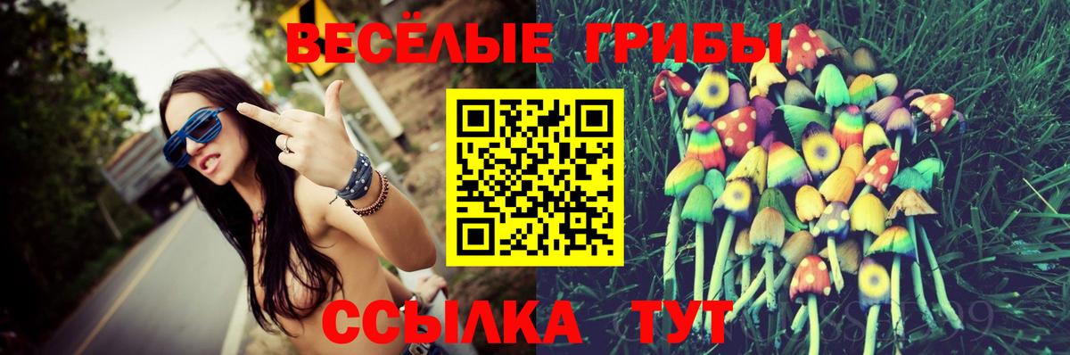 Галлюциногенные грибы ЛСД Казань